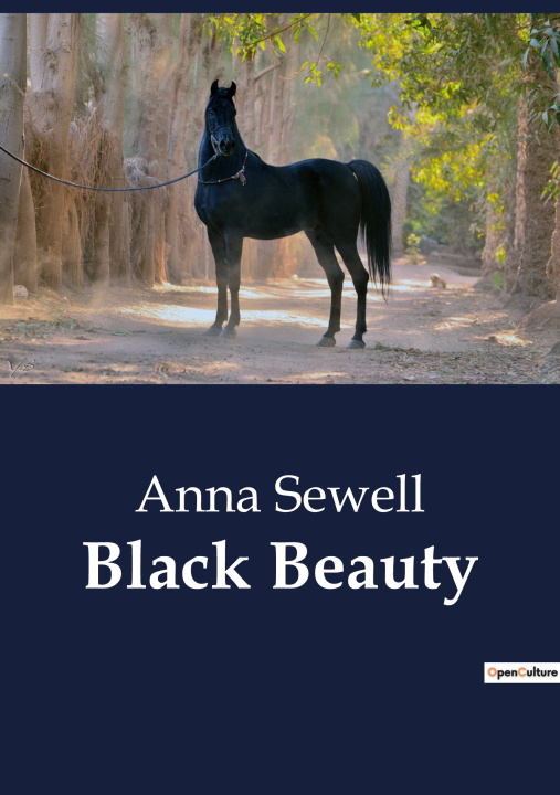 Книга Black Beauty Sewell