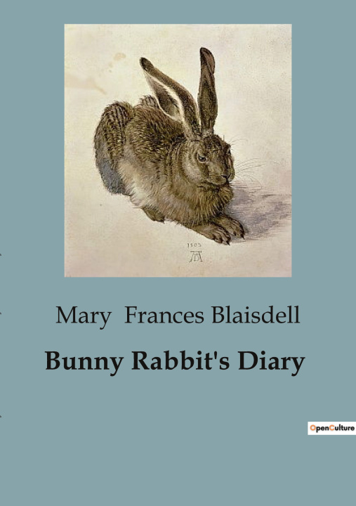 Livro Bunny Rabbit's Diary Frances Blaisdell