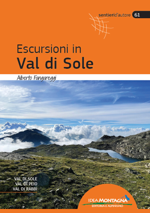 Könyv Escursioni in Val di Sole Alberto Fangareggi