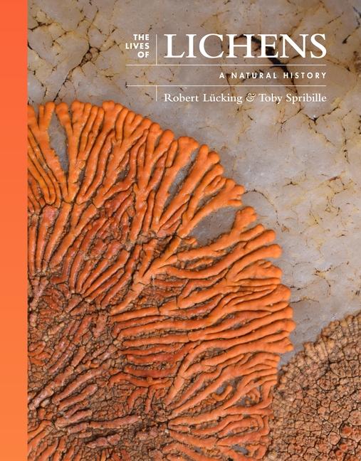 Book The Lives of Lichens – Successful Miniature Ecosystems Robert Lücking