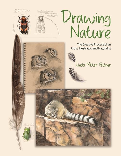 Kniha Drawing Nature – The Creative Process of an Artist, Illustrator, and Naturalist Linda M. Feltner