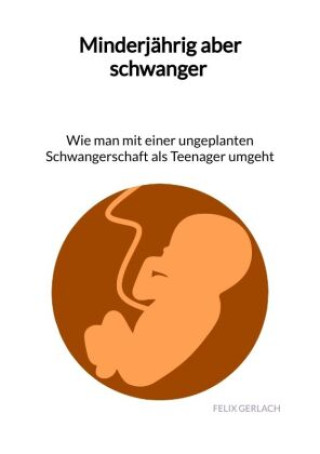 Kniha Minderjährig aber schwanger - Wie man mit einer ungeplanten Schwangerschaft als Teenanger umgeht Felix Gerlach