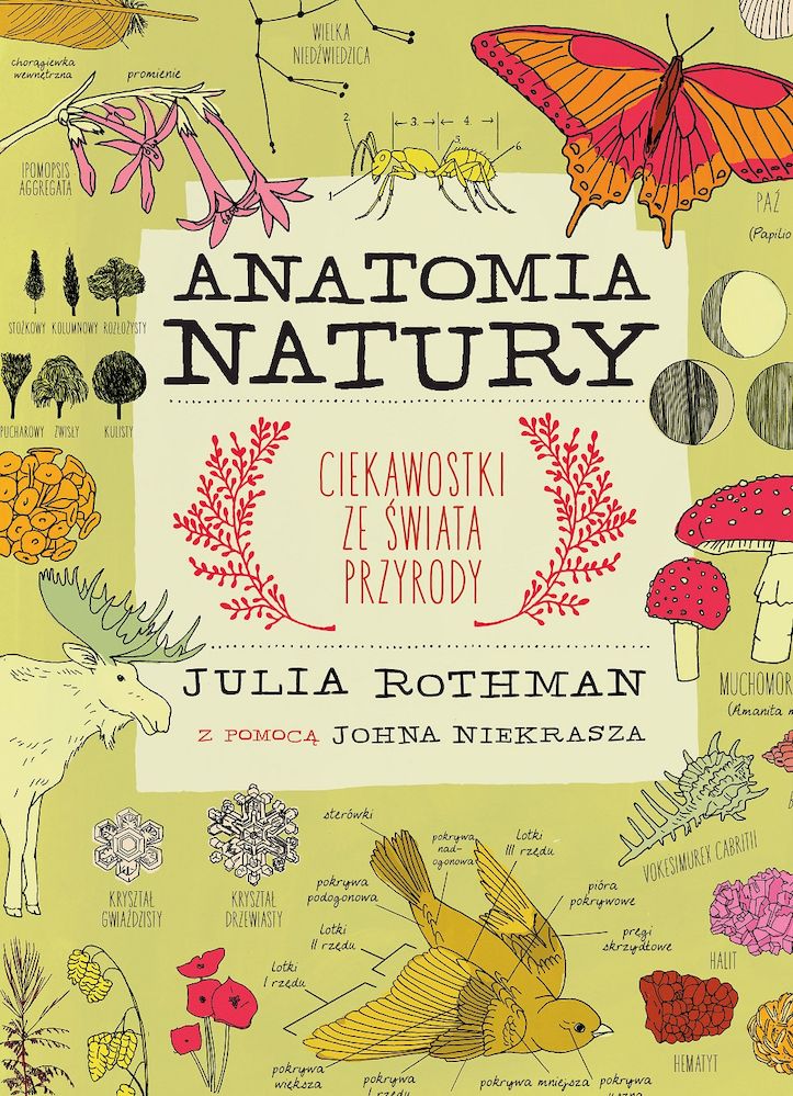 Kniha Anatomia natury Julia Rothman