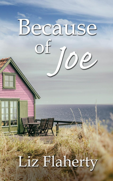 Carte Because of Joe Liz Flaherty