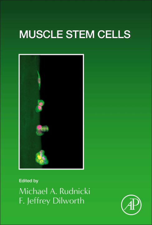 Könyv Muscle Stem Cells 