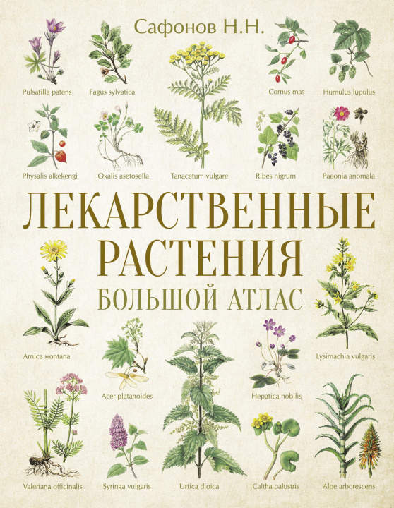 Книга Лекарственные растения. Большой атлас Н. Сафонов