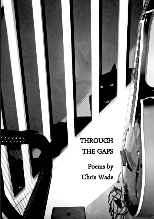 Knjiga Through the Gaps chris wade