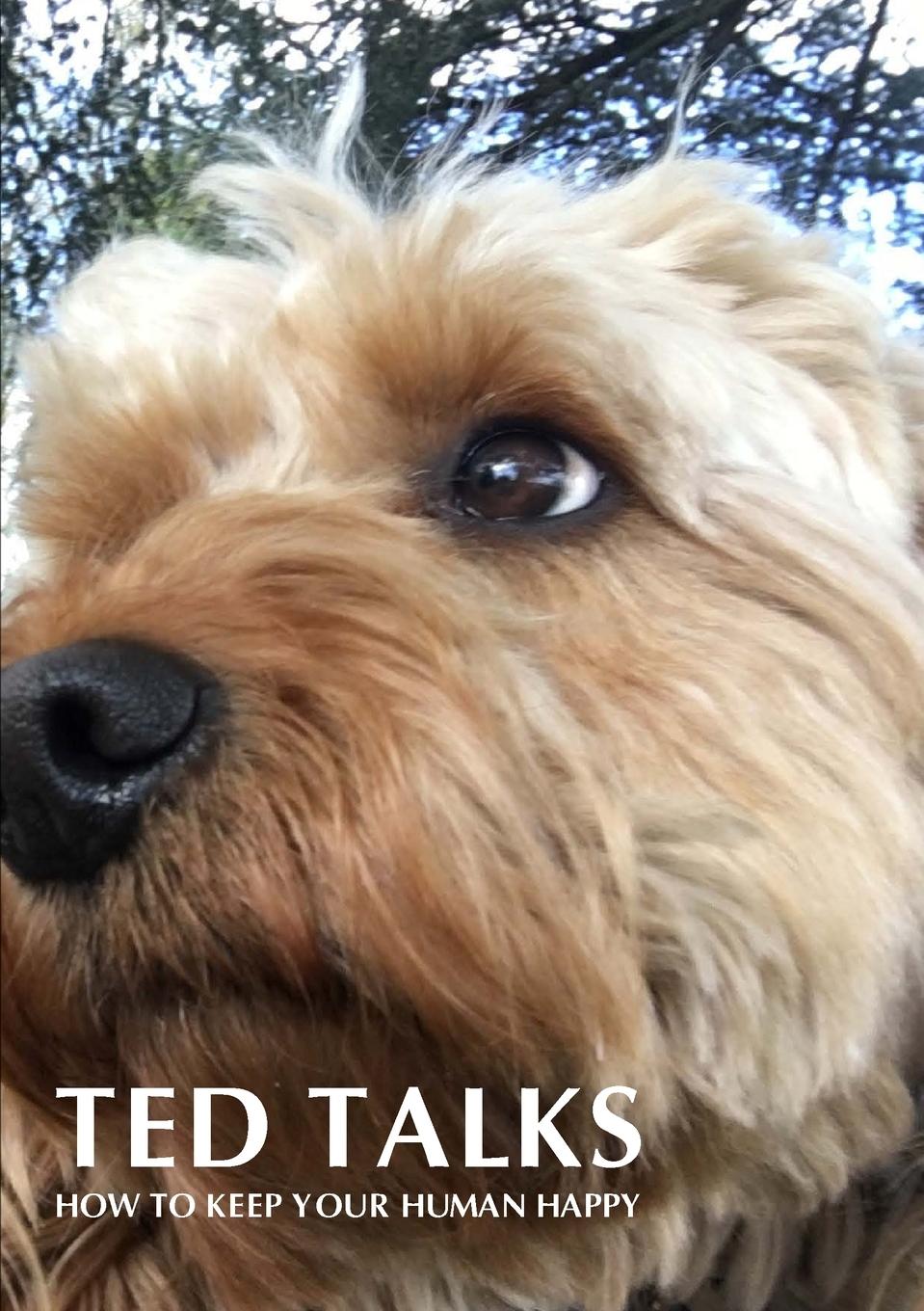 Book Ted Talks Geoff Mead
