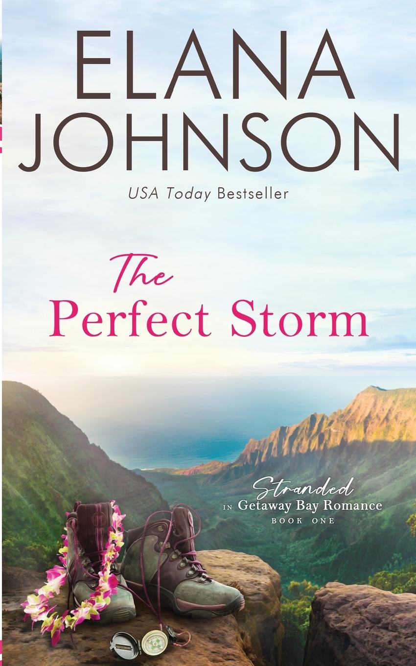 Knjiga The Perfect Storm Elana Johnson