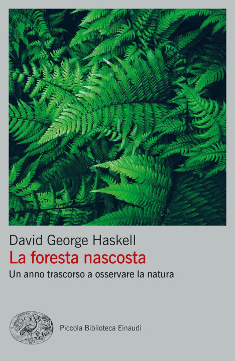 Kniha foresta nascosta. Un anno trascorso a osservare la natura David George Haskell