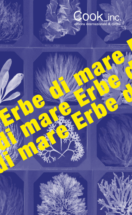 Knjiga Erbe di mare Federico Panetta
