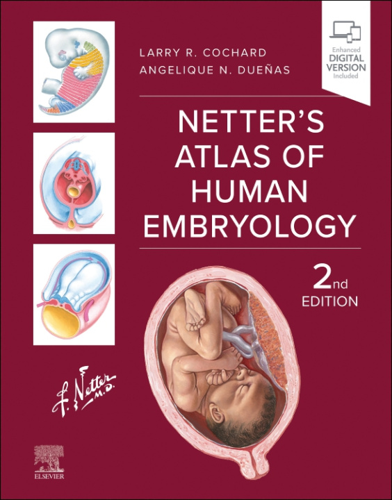 Kniha Netter's Atlas of Human Embryology Larry R. Cochard