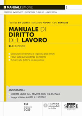 Kniha Manuale di biritto del lavoro Federico Del Giudice