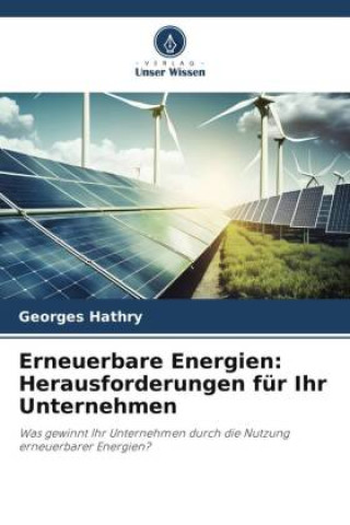 Kniha Erneuerbare Energien: Herausforderungen für Ihr Unternehmen 