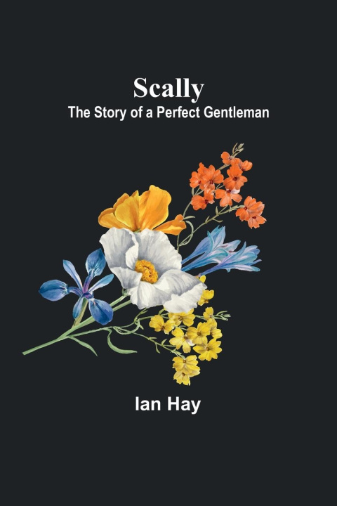 Knjiga Scally Ian Hay