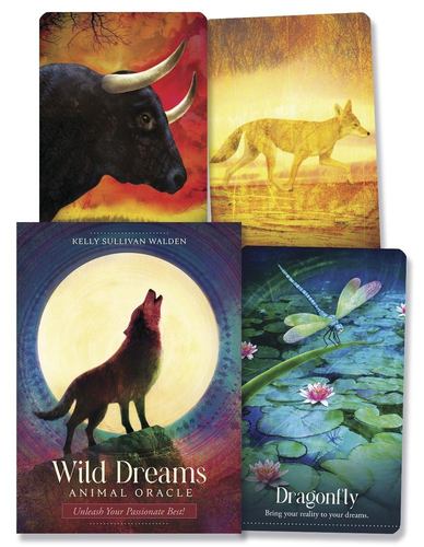 Kniha WILD DREAMS ANIMAL ORACLE WALDEN KELLY SULLIVAN