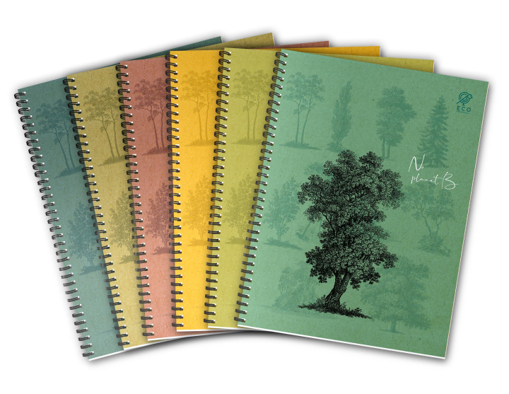 Buch Kołozeszyt A4 80k kratka by nature forrest pakiet 5sztuk 
