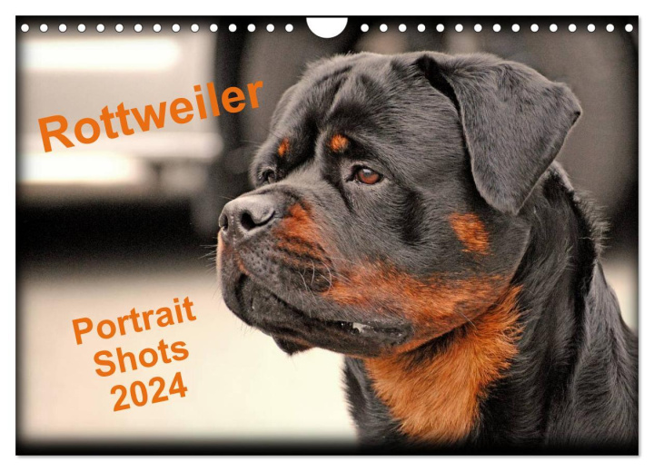 Calendar / Agendă Rottweiler Portait Shots 2024 (Wall Calendar 2024 DIN A4 landscape), CALVENDO 12 Month Wall Calendar 