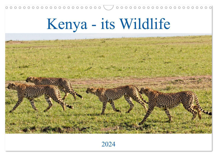 Kalendář/Diář Kenya - its Wildlife (Wall Calendar 2024 DIN A3 landscape), CALVENDO 12 Month Wall Calendar 