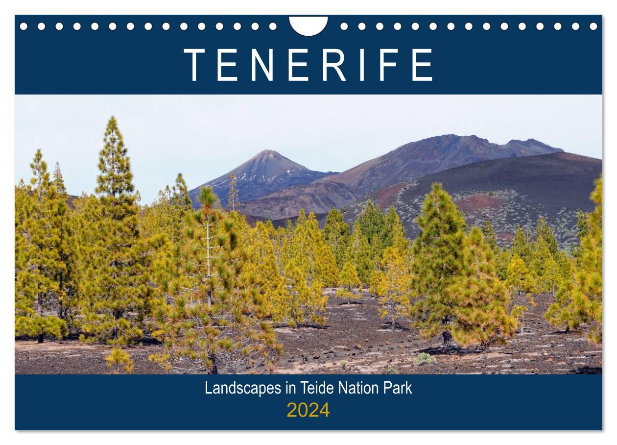 Naptár/Határidőnapló Tenerife - Landscapes of Teide National Park (Wall Calendar 2024 DIN A4 landscape), CALVENDO 12 Month Wall Calendar 