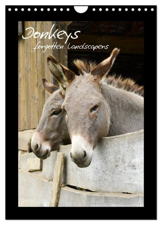 Naptár/Határidőnapló Donkeys - forgotten landscapers (Wall Calendar 2024 DIN A4 portrait), CALVENDO 12 Month Wall Calendar 