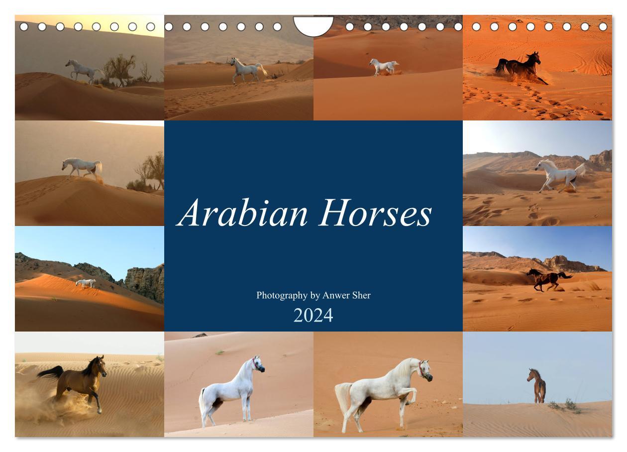 Calendar/Diary Arabian Horses (Wall Calendar 2024 DIN A4 landscape), CALVENDO 12 Month Wall Calendar 
