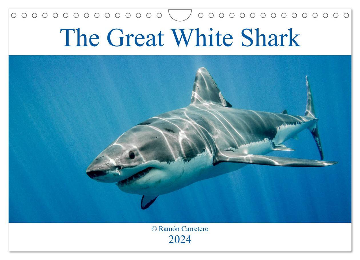 Naptár/Határidőnapló The Great White Shark: King of the Ocean (Wall Calendar 2024 DIN A4 landscape), CALVENDO 12 Month Wall Calendar 