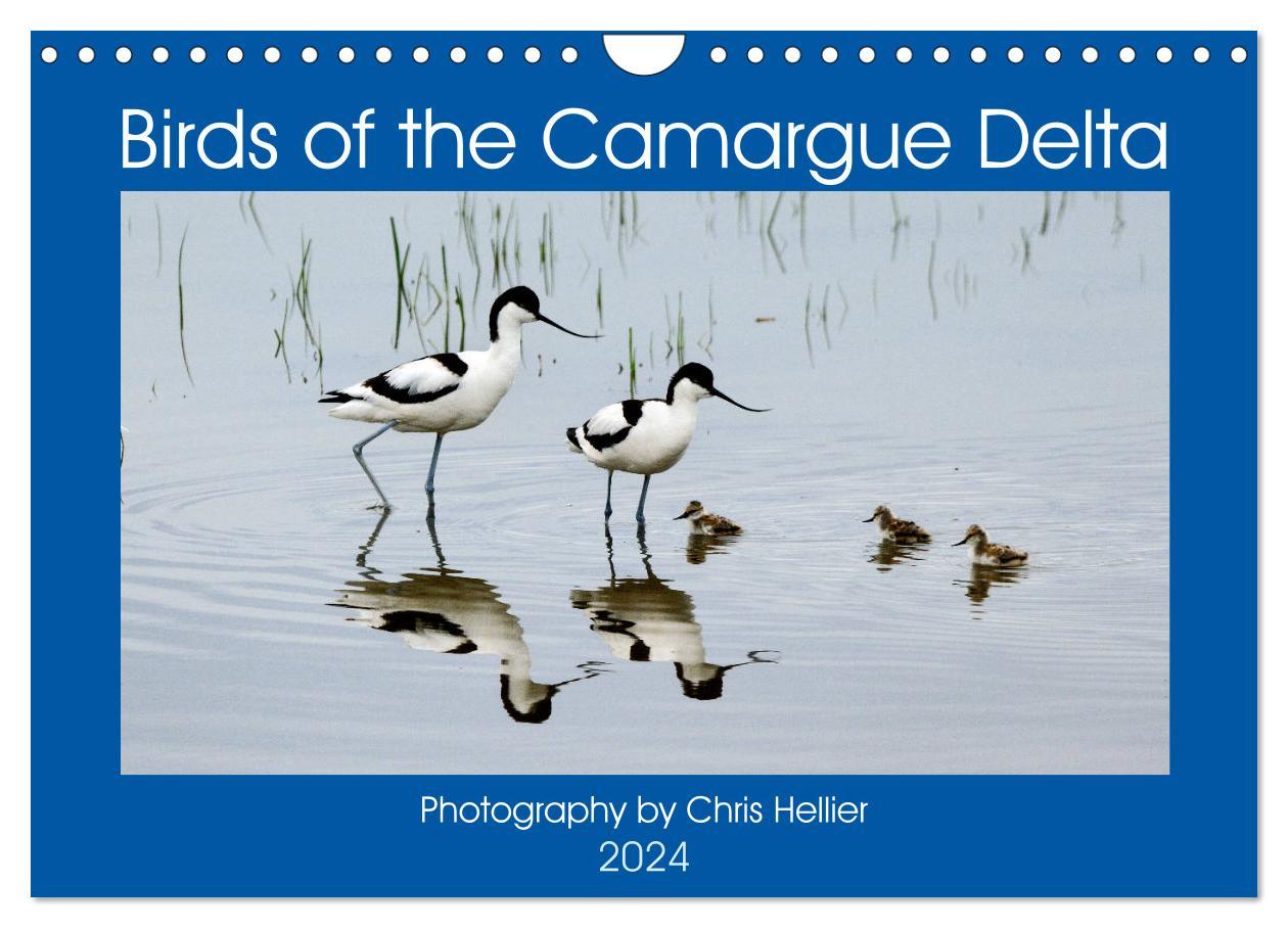 Kalendár/Diár Birds of the Camargue Delta (Wall Calendar 2024 DIN A4 landscape), CALVENDO 12 Month Wall Calendar 