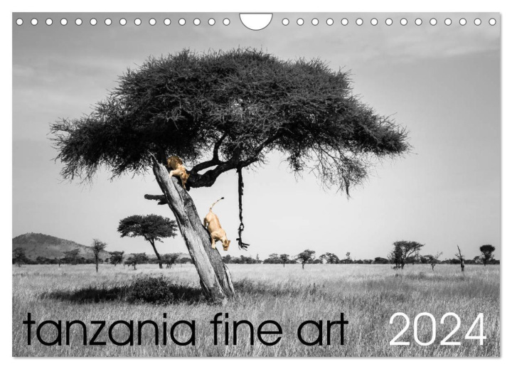 Calendar / Agendă tanzania fine art (Wall Calendar 2024 DIN A4 landscape), CALVENDO 12 Month Wall Calendar 