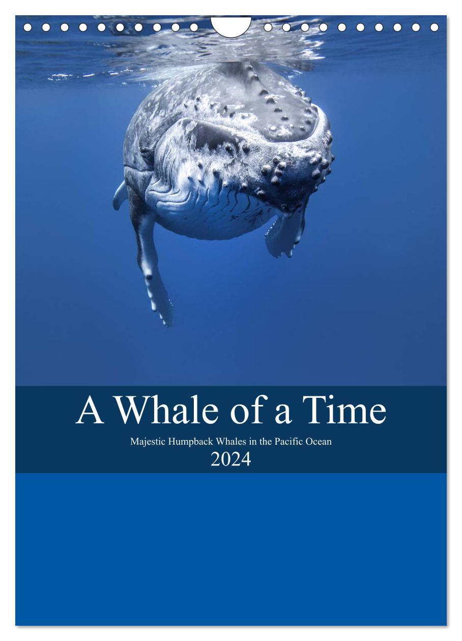 Calendar / Agendă A Whale Of A Time (Wall Calendar 2024 DIN A4 portrait), CALVENDO 12 Month Wall Calendar 
