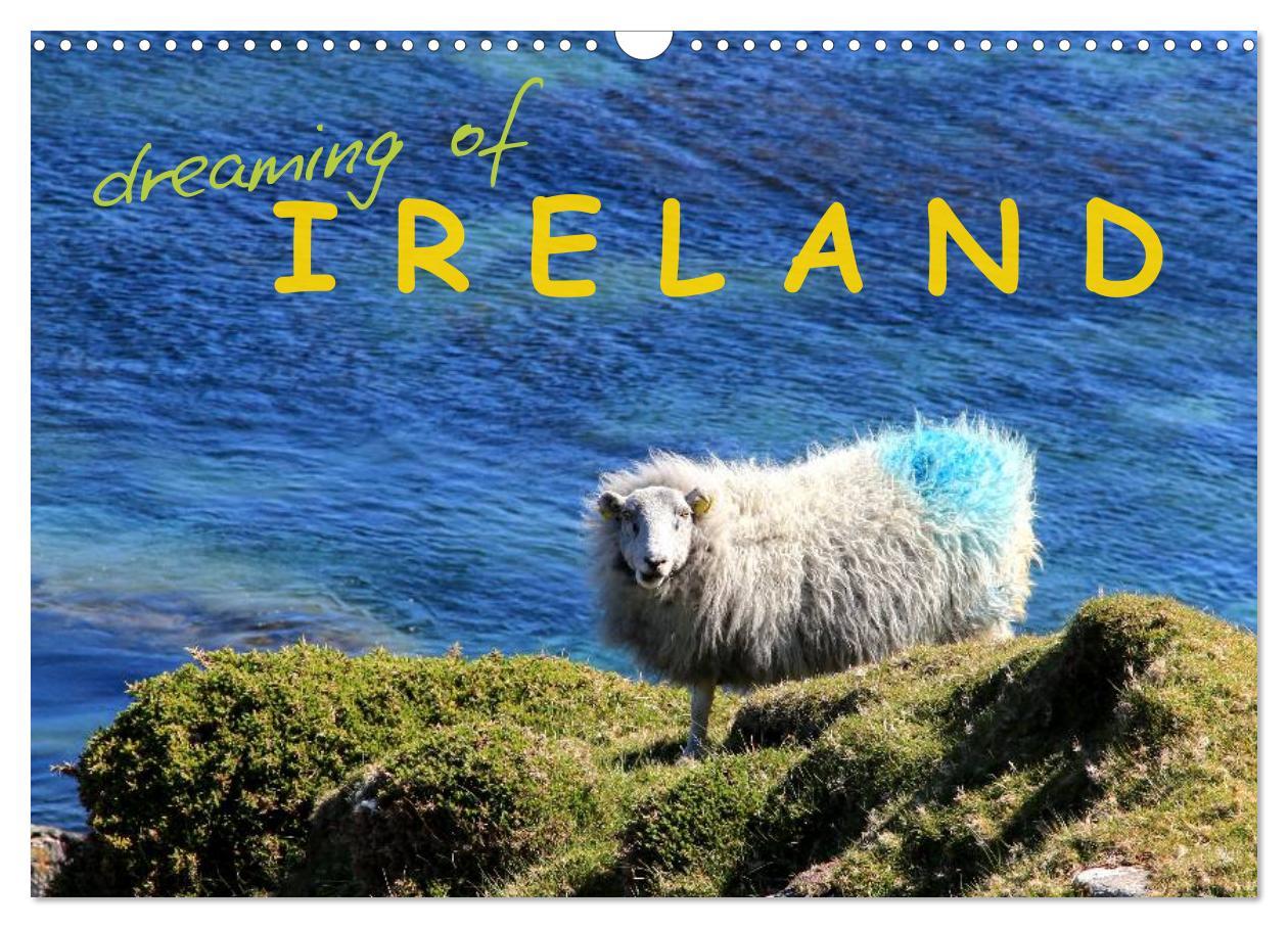 Calendar / Agendă dreaming of IRELAND (Wall Calendar 2024 DIN A3 landscape), CALVENDO 12 Month Wall Calendar 