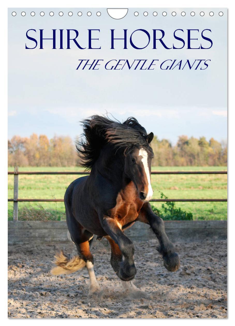 Naptár/Határidőnapló Shire Horses The Gentle Giants (Wall Calendar 2024 DIN A4 portrait), CALVENDO 12 Month Wall Calendar 
