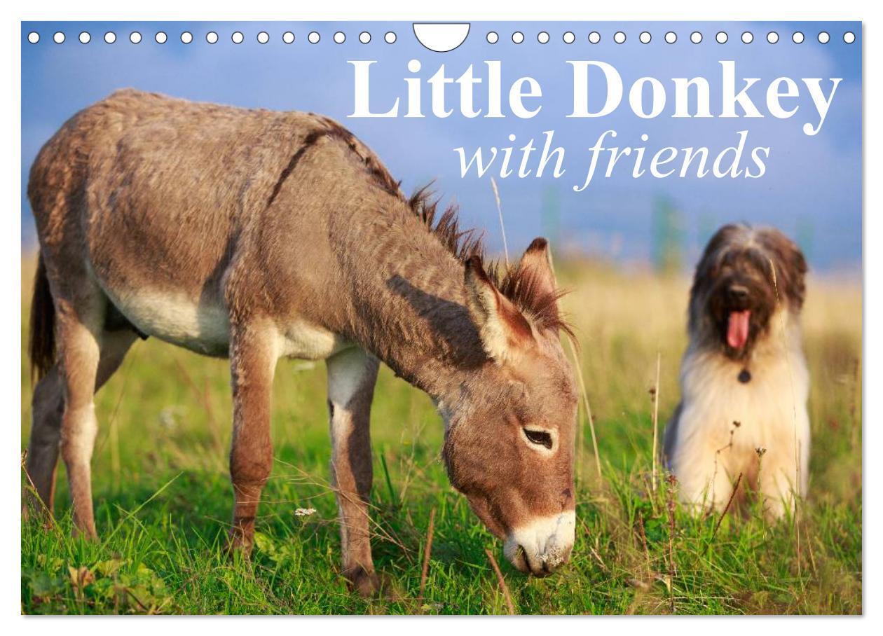 Calendar / Agendă Little Donkey with Friends (Wall Calendar 2024 DIN A4 landscape), CALVENDO 12 Month Wall Calendar 