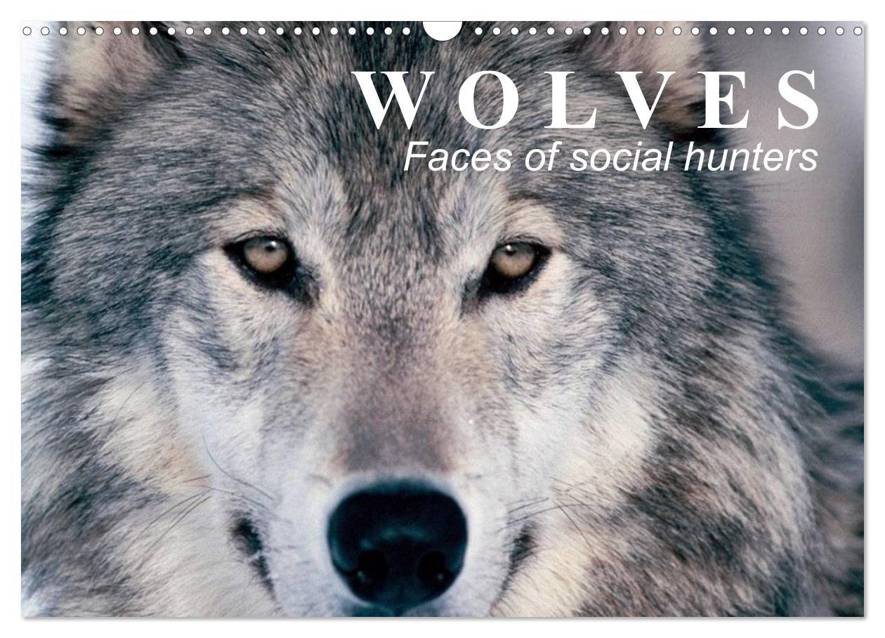 Calendar / Agendă Wolves ? Faces of social hunters (Wall Calendar 2024 DIN A3 landscape), CALVENDO 12 Month Wall Calendar 