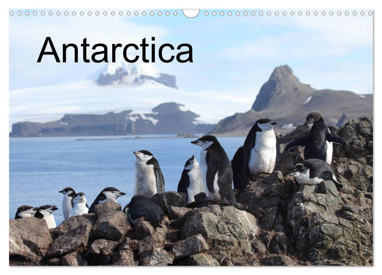 Kalendár/Diár Antarctica (UK - Version) (Wall Calendar 2024 DIN A3 landscape), CALVENDO 12 Month Wall Calendar 