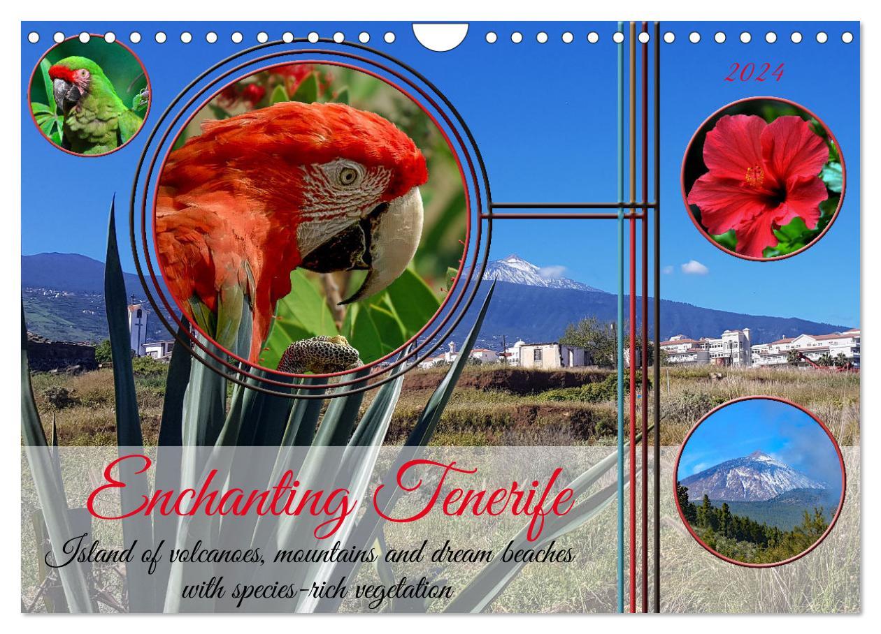 Calendar / Agendă Enchanting Tenerife (Wall Calendar 2024 DIN A4 landscape), CALVENDO 12 Month Wall Calendar 