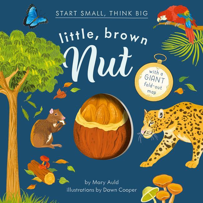 Kniha Little, Brown Nut 