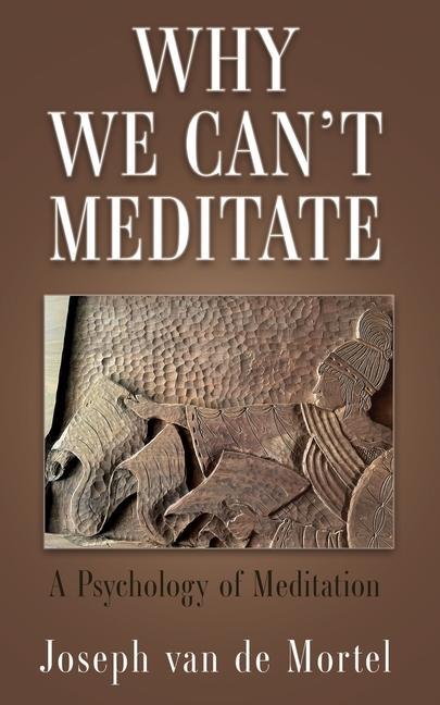 Kniha Why We Can't Meditate: A Psychology of Meditation 