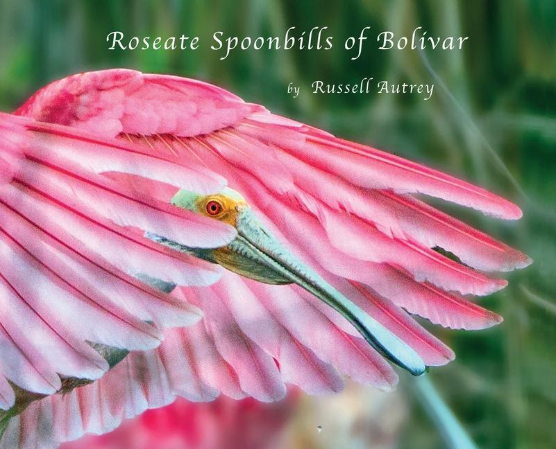 Buch Roseate Spoonbills of Bolivar Russell D Autrey