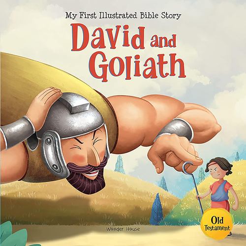 Knjiga David and Goliath Wonder House Books