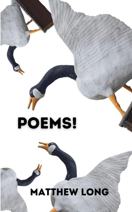 Kniha Poems! Matthew Long