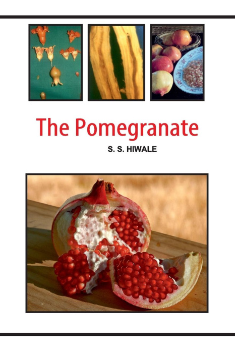 Carte The Pomegranate 
