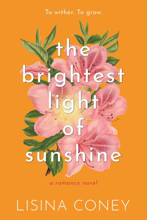 Książka Brightest Light of Sunshine 