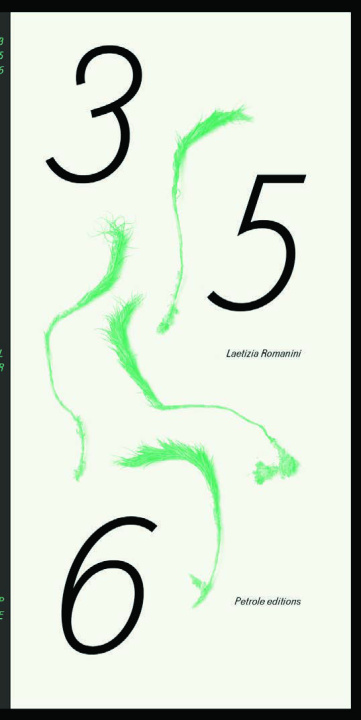 Book 356 Letizia ROMANINI