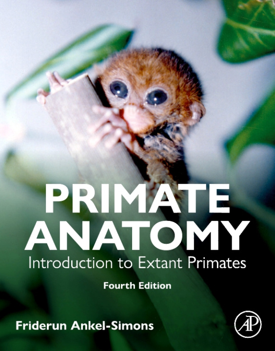 Book Primate Anatomy Friderun Ankel-Simons