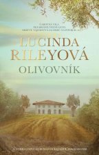 Kniha Olivovník Lucinda Rileyová