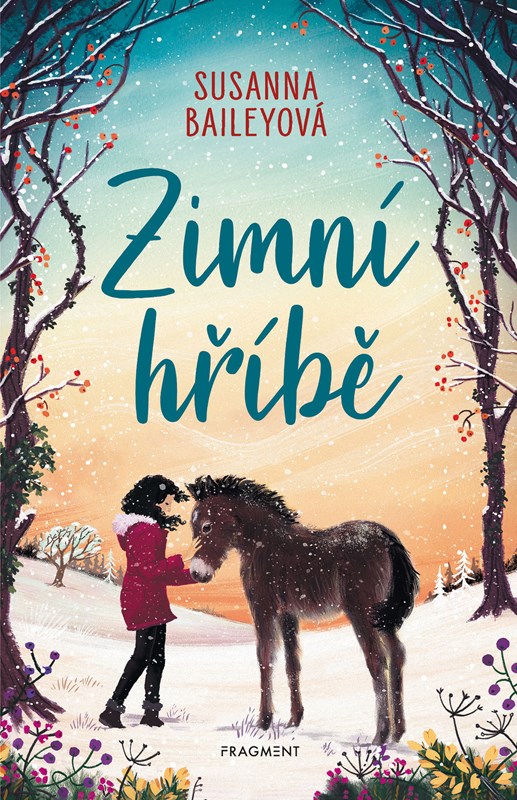 Buch Zimní hříbě Susanna Baileyová