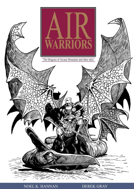 Knjiga Air Warriors Noel K. Hannan