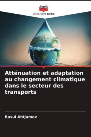 Carte Atténuation et adaptation au changement climatique dans le secteur des transports 