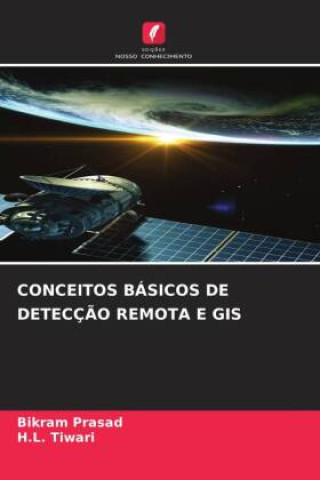 Book CONCEITOS BÁSICOS DE DETECÇ?O REMOTA E GIS H. L. Tiwari